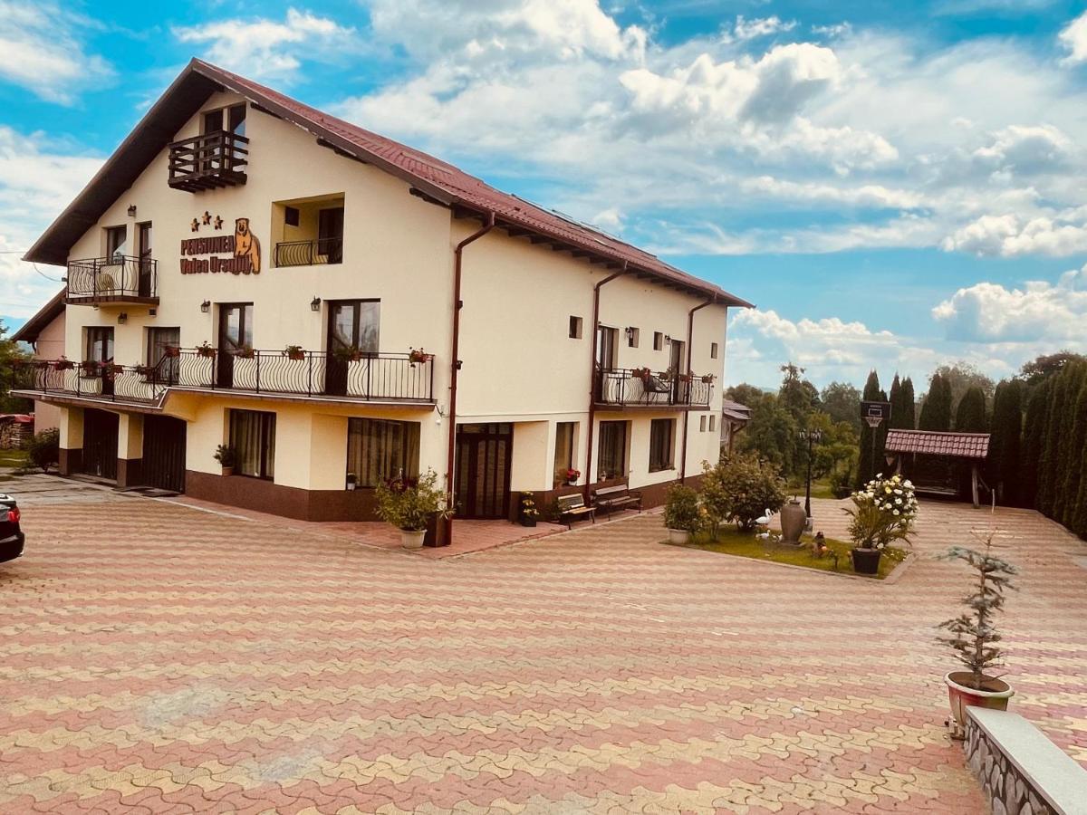 Pensiunea Valea Ursului Câmpulung Exterior foto